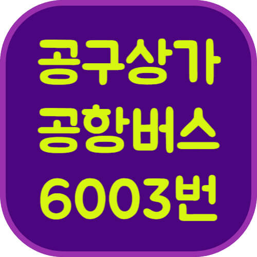 구로공구상가-6003번-공항버스-이미지