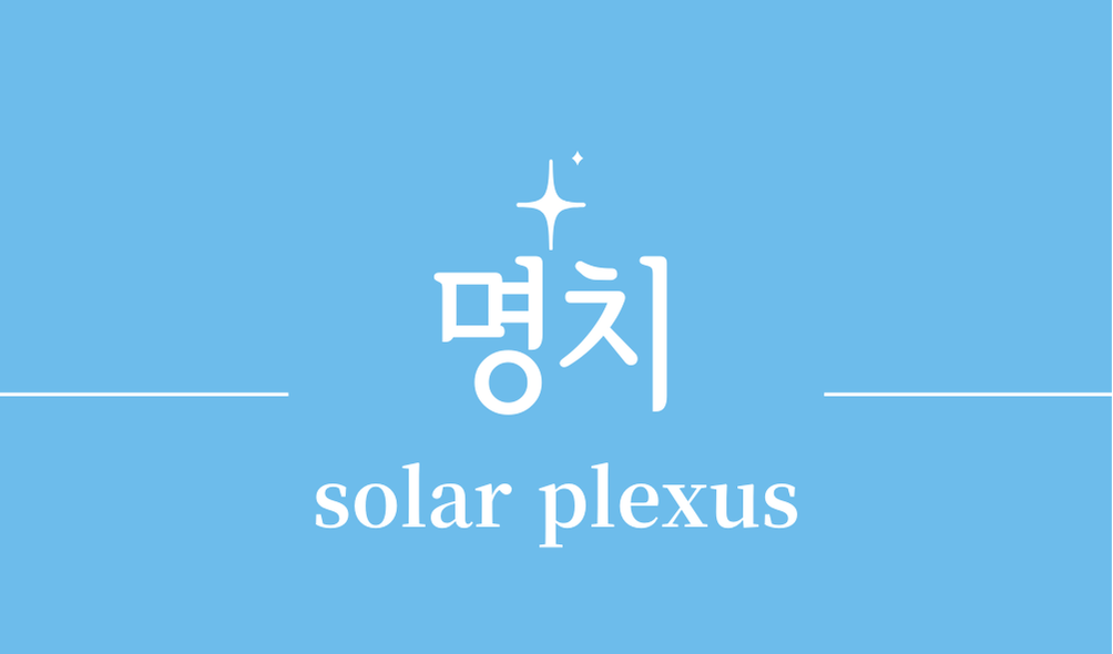 '명치(solar plexus)'