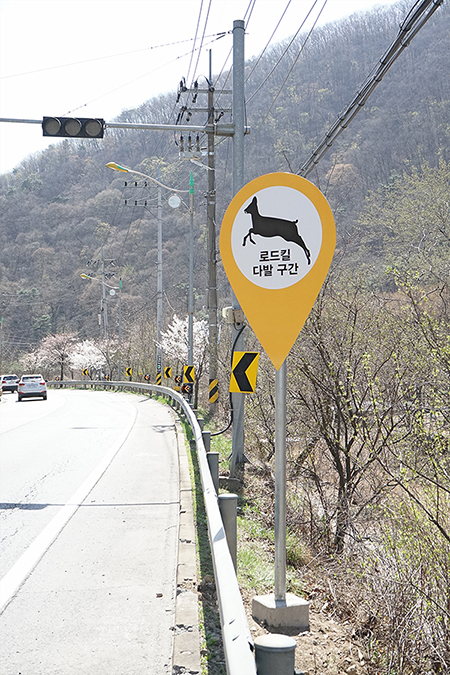  로드킬, 타이어펑크 발생 시 대처방법 궁금하시죠? 바로 클릭해보세요! (feat. 한국도로공사 무료견인)