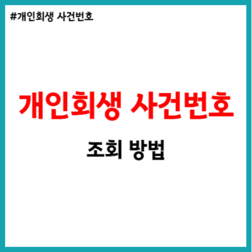  개인회생 사건 번호 조회, 찾는 방법