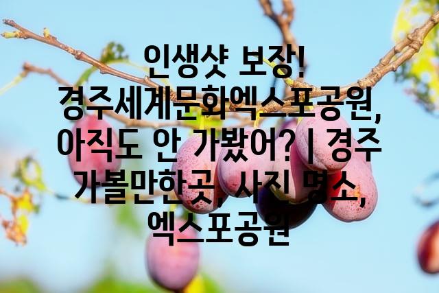 랜덤186