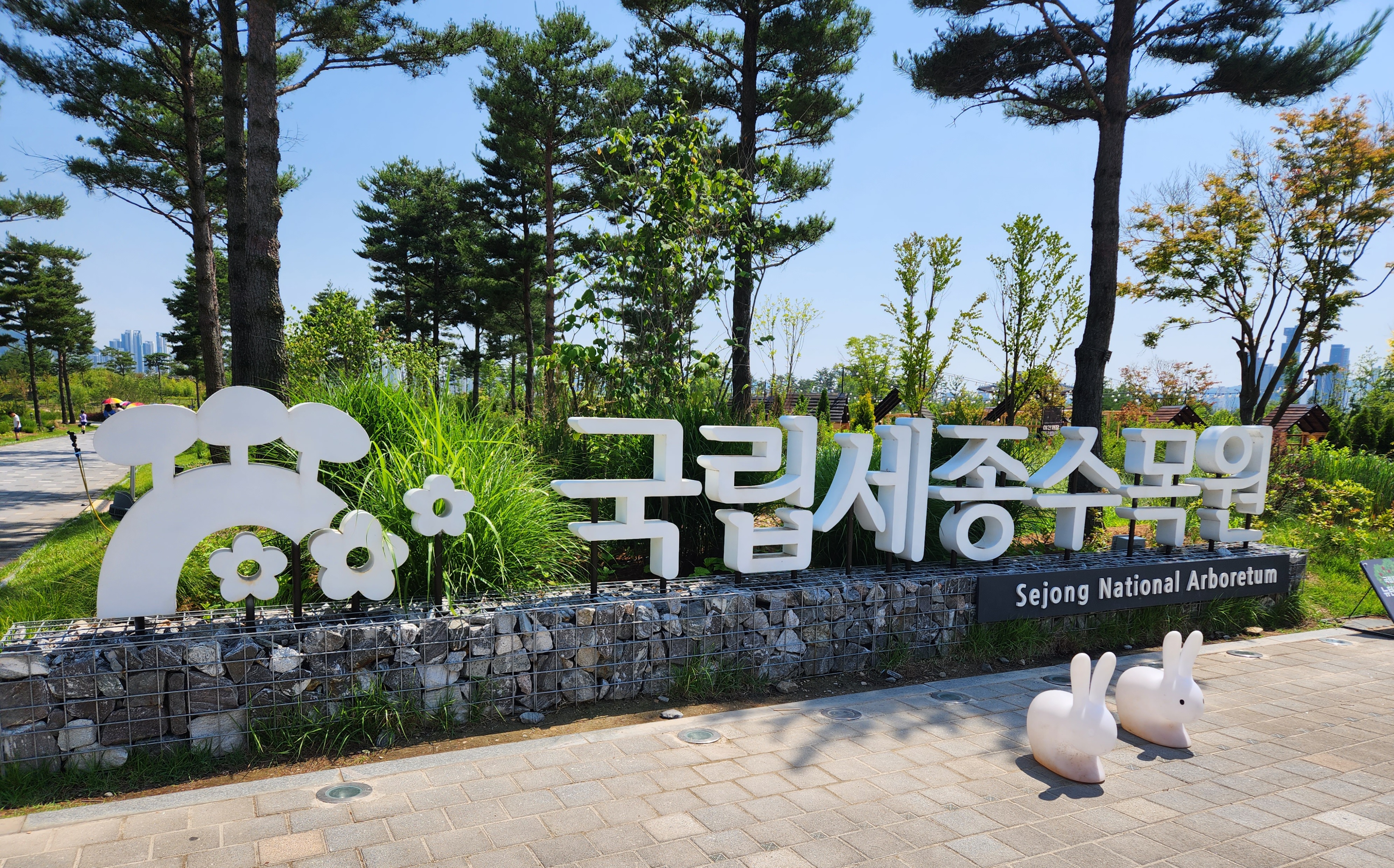 세종 가볼만한곳 국립세종수목원 포토존