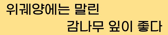  (9) 위궤양에는 말린 감나무 잎이 좋다.