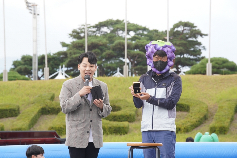 김천포도축제 기본일정과 프로그램 소개 박서진 박지현 왁스 한혜진 출연