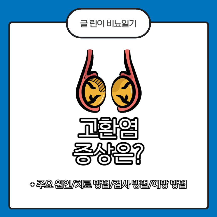 고환염 증상
고환염 주요 원인
고환염 치료 방법
고환염 검사 방법
고환염 예방 방법