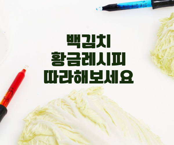 백김치 맛있게 담는법 황금레시피