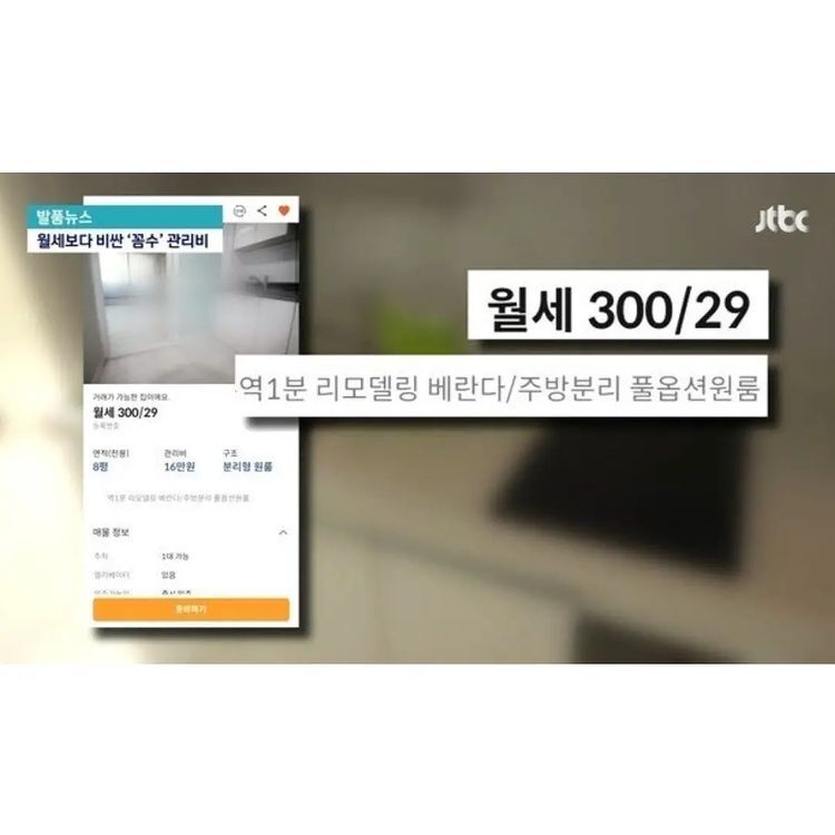  서울 월세살이 근황