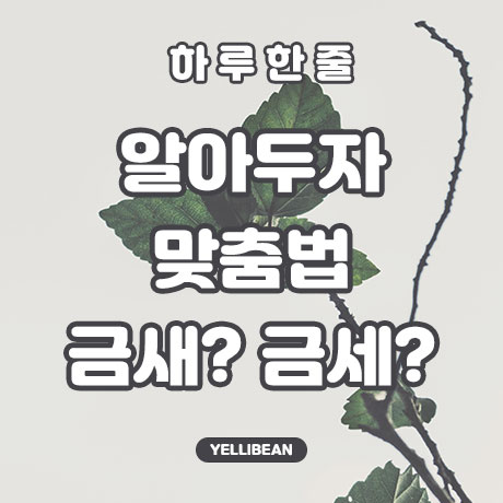  [한글 한 줄 공부] #3 - 금세? 금새? 자주 틀리는 맞춤법