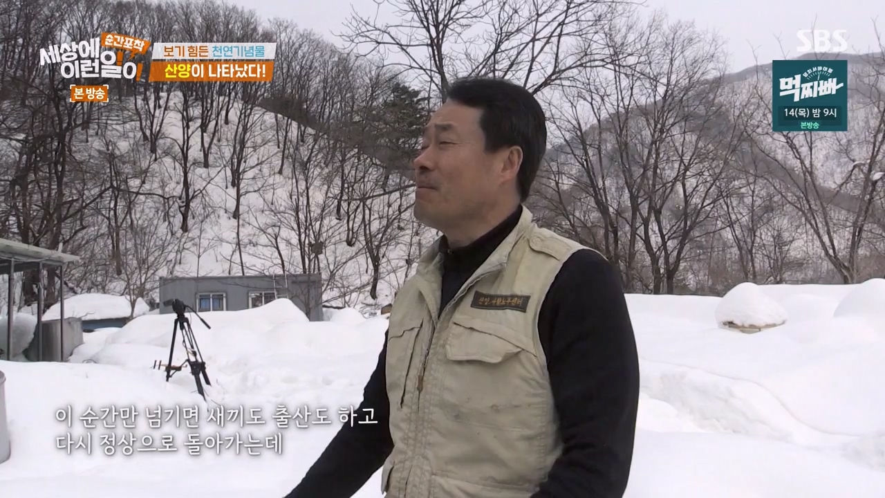 순간포착 세상에 이런일이.E1268.240310p-NEXT.mp4_20240310_132539.293.jpg