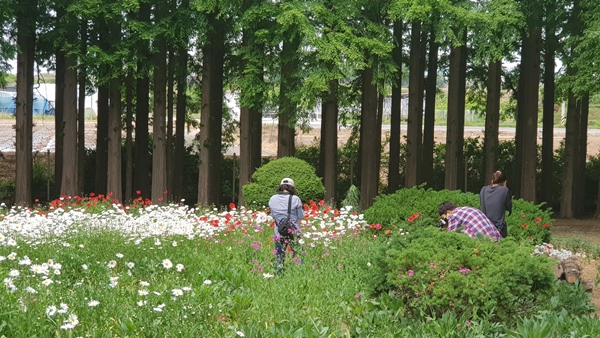 익산 아가페 정원