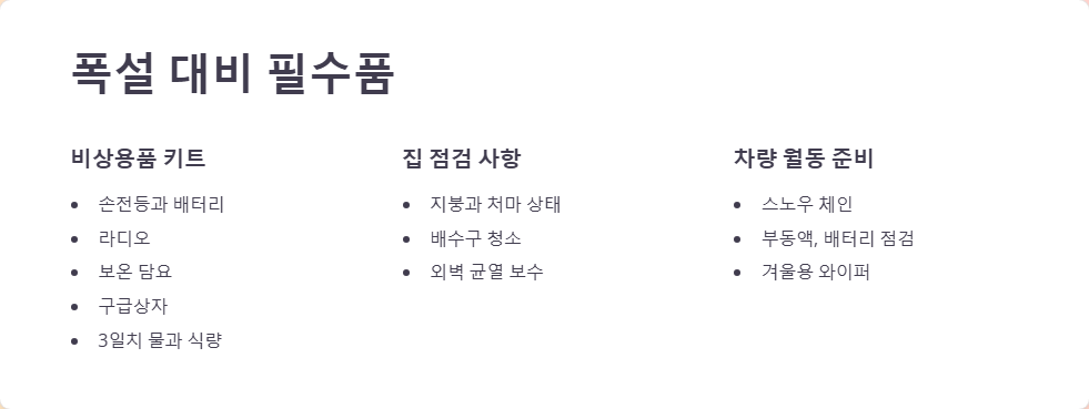 폭설 사태 피해 예방법