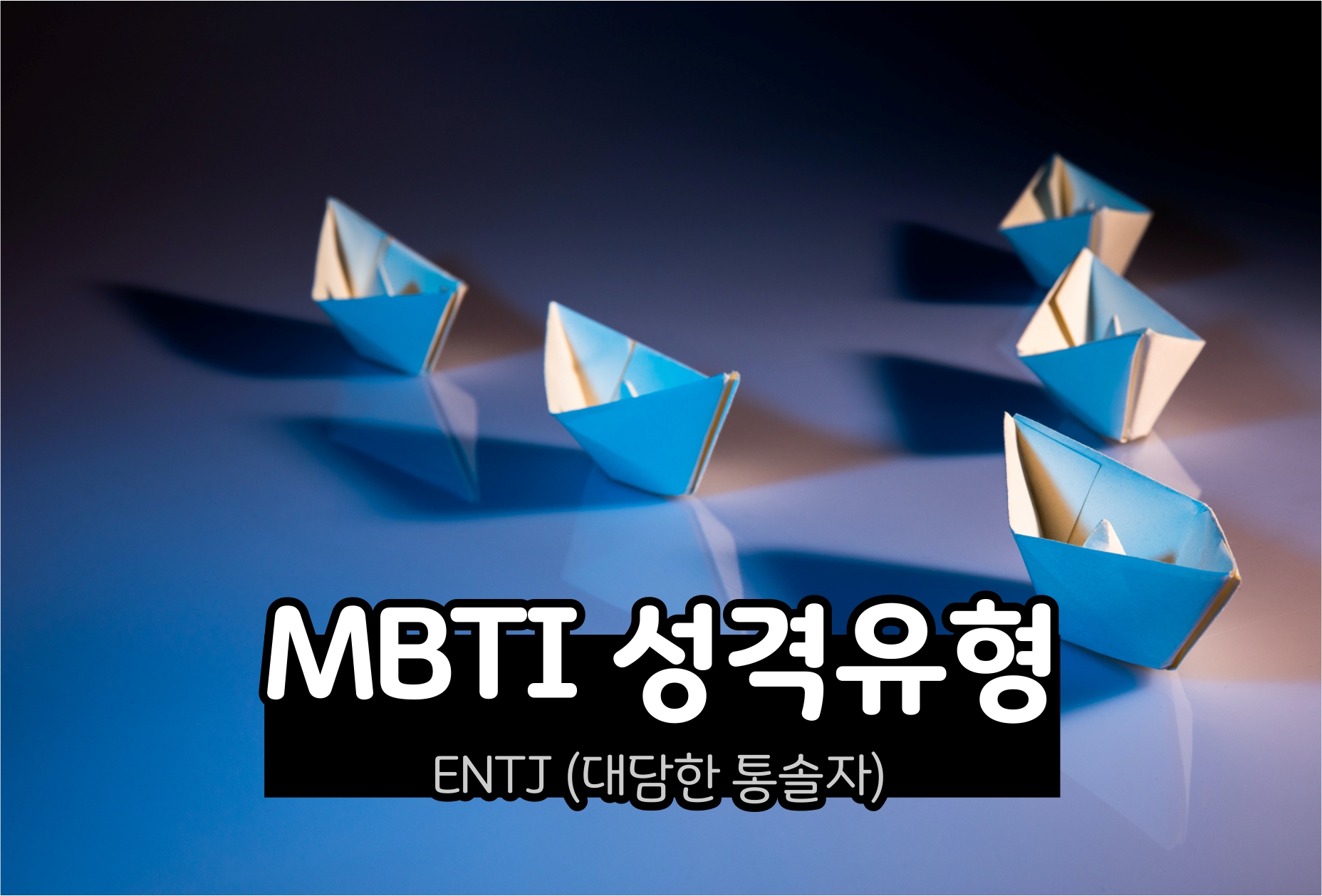  MBTI 성격 - ENTJ유형 (대담한 통솔자)