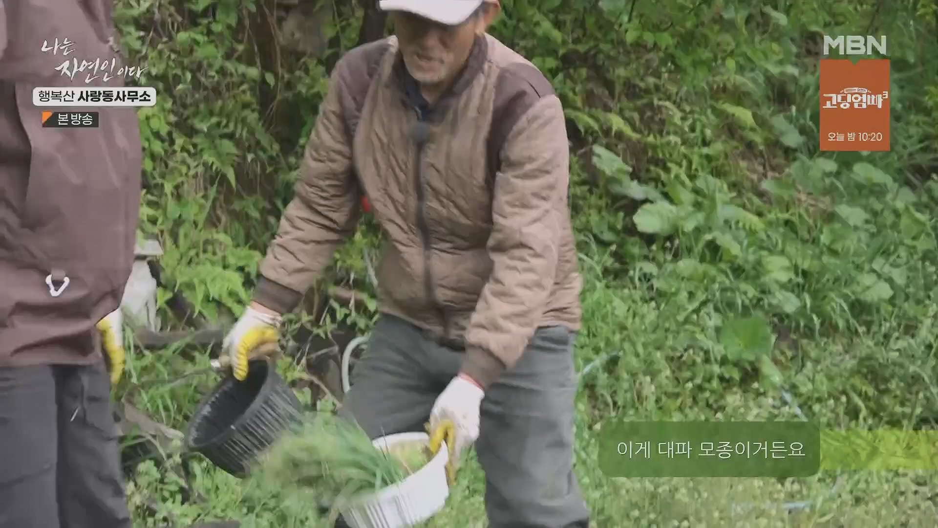 나는 자연인이다.E552.230503p.H264-F1RST.mp4_20230504_200319.872.jpg