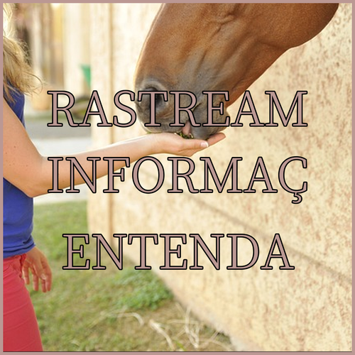 Rastreamento de Info