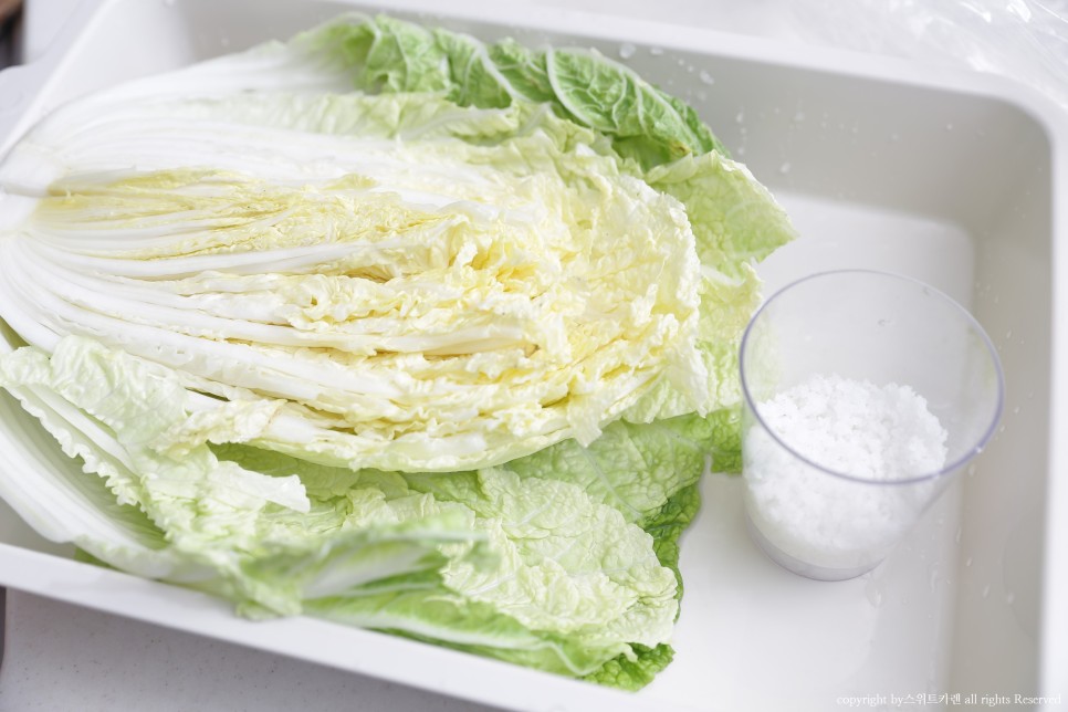 짠맛 김장봉투로 간단하게 속이 꽉 찬 배추절임 배추절임 시간 3