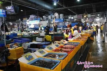 가락동 농수산물시장 홈페이지 바로가기 가락몰_29