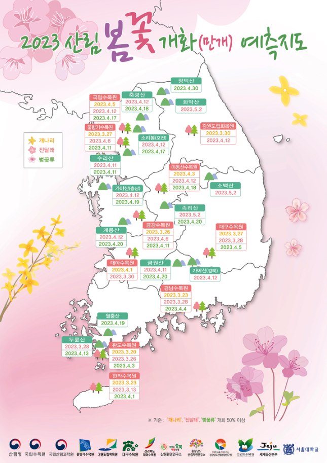  봄꽃 개나리 진달래 벚꽃 개화시기 명소 2023 산림청 예측지도
