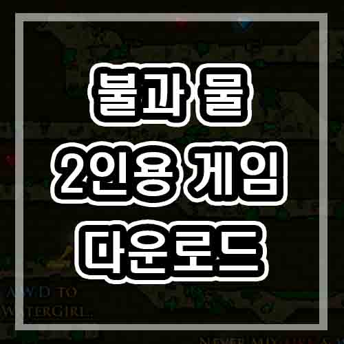  불과 물 2인용 게임하기 1 (다운로드/실행가능)