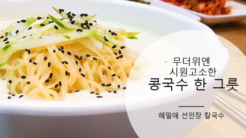  무더위가 싹 가시는 맛있는 콩국수 추천 [경기도/파주]