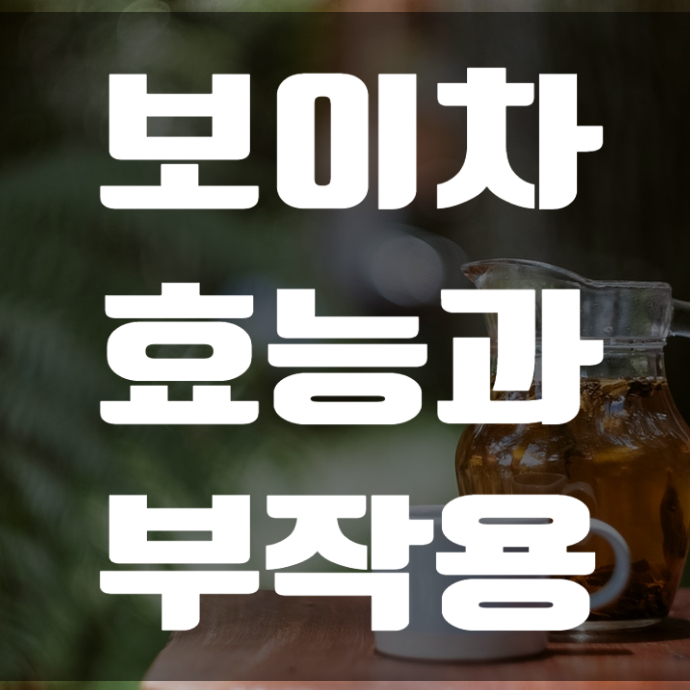  보이차 효능과 부작용을 알아보자