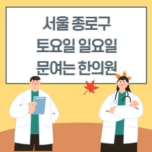 서울 종로구 토요일 일요일 한의원 진료 병원 리스트