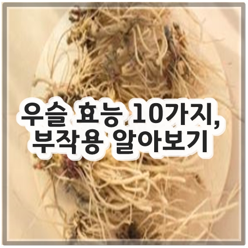 우슬 효능 10가지, 부작용 알아보기