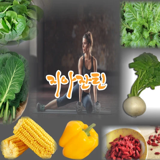  [지아잔틴]  눈 건강 영양소