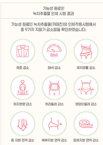 카테킨