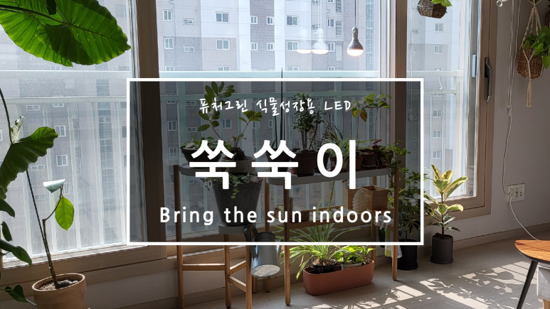 퓨처 그린 식물등으로! 6