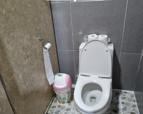 화장실-변기사진