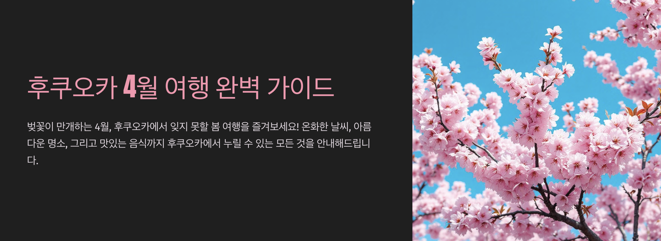 후쿠오카 4월 여행 완벽 가이드 후쿠오카 날씨, 명소, 음식 추천