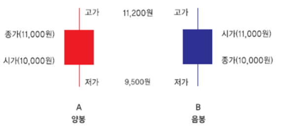 양봉과 음봉