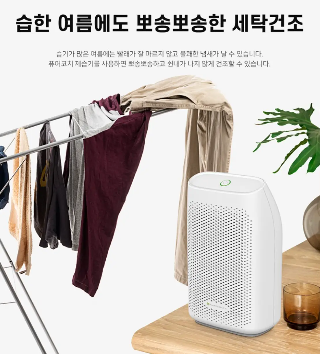 사진2