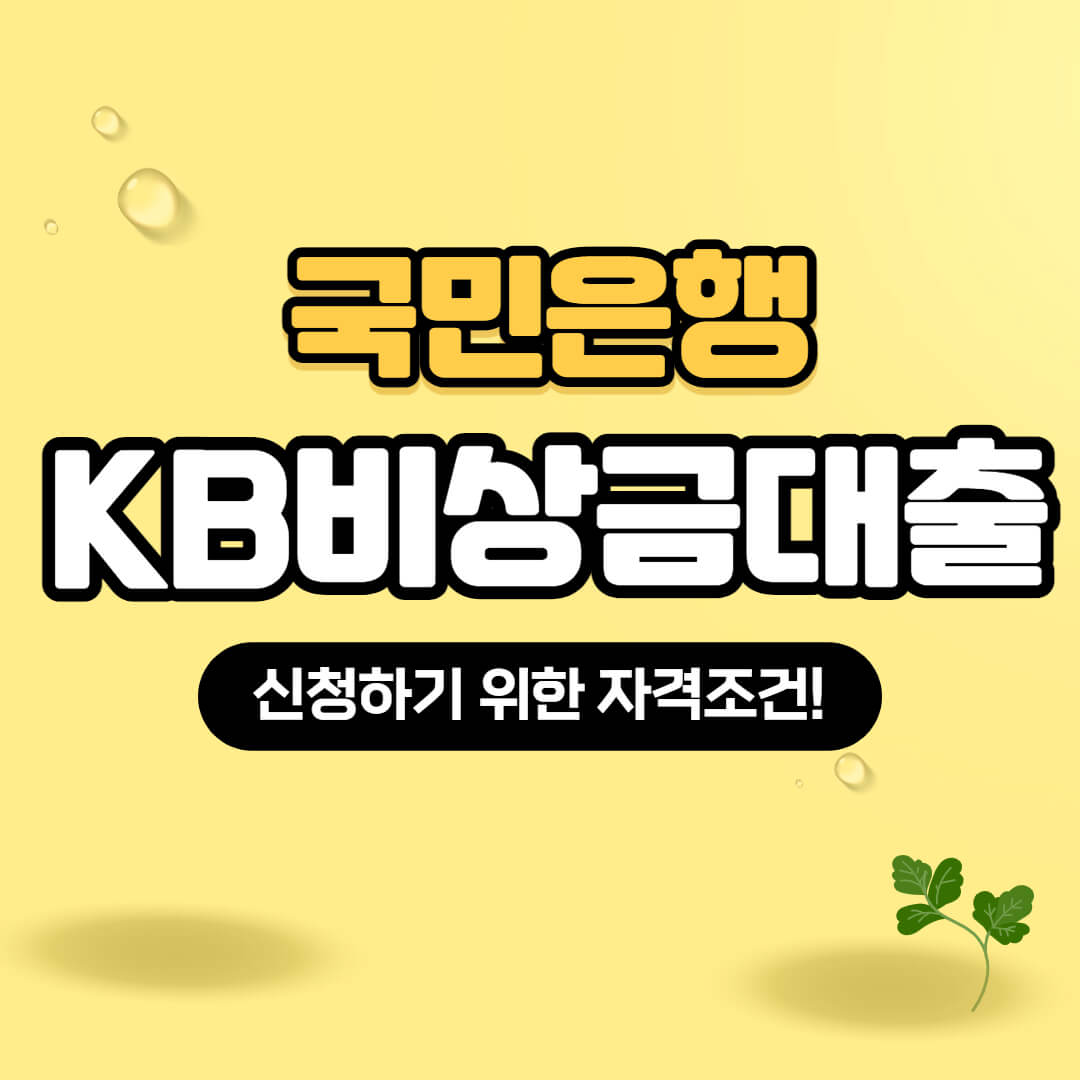 KB비상금대출 신청방법 자격조건 확인