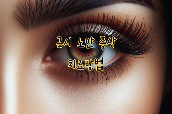 근시 노안 증상 치료방법