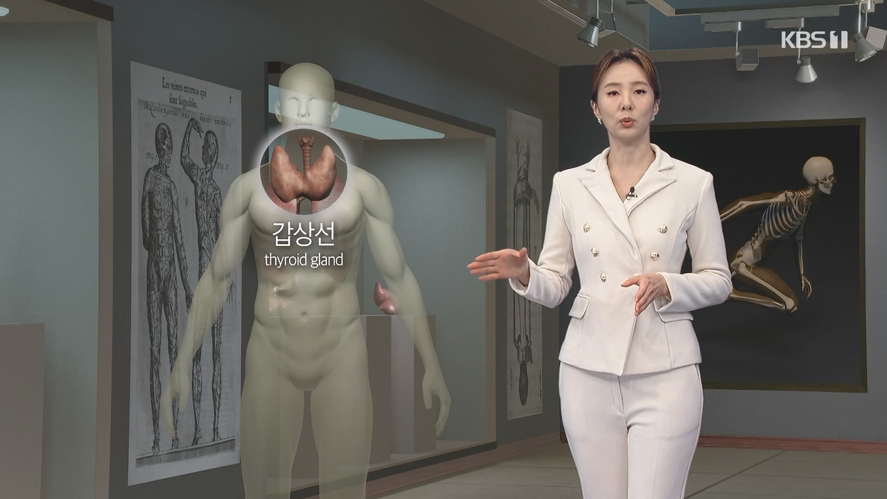생로병사의 비밀.E894.231228p-NEXT.mp4_20231228_195501.785.jpg