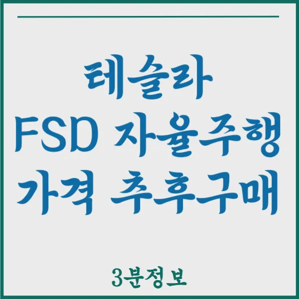 테슬라 FSD 자율주행 가격 한국출시 추후 구매 알고사자!!!