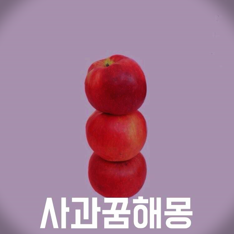 사과 꿈