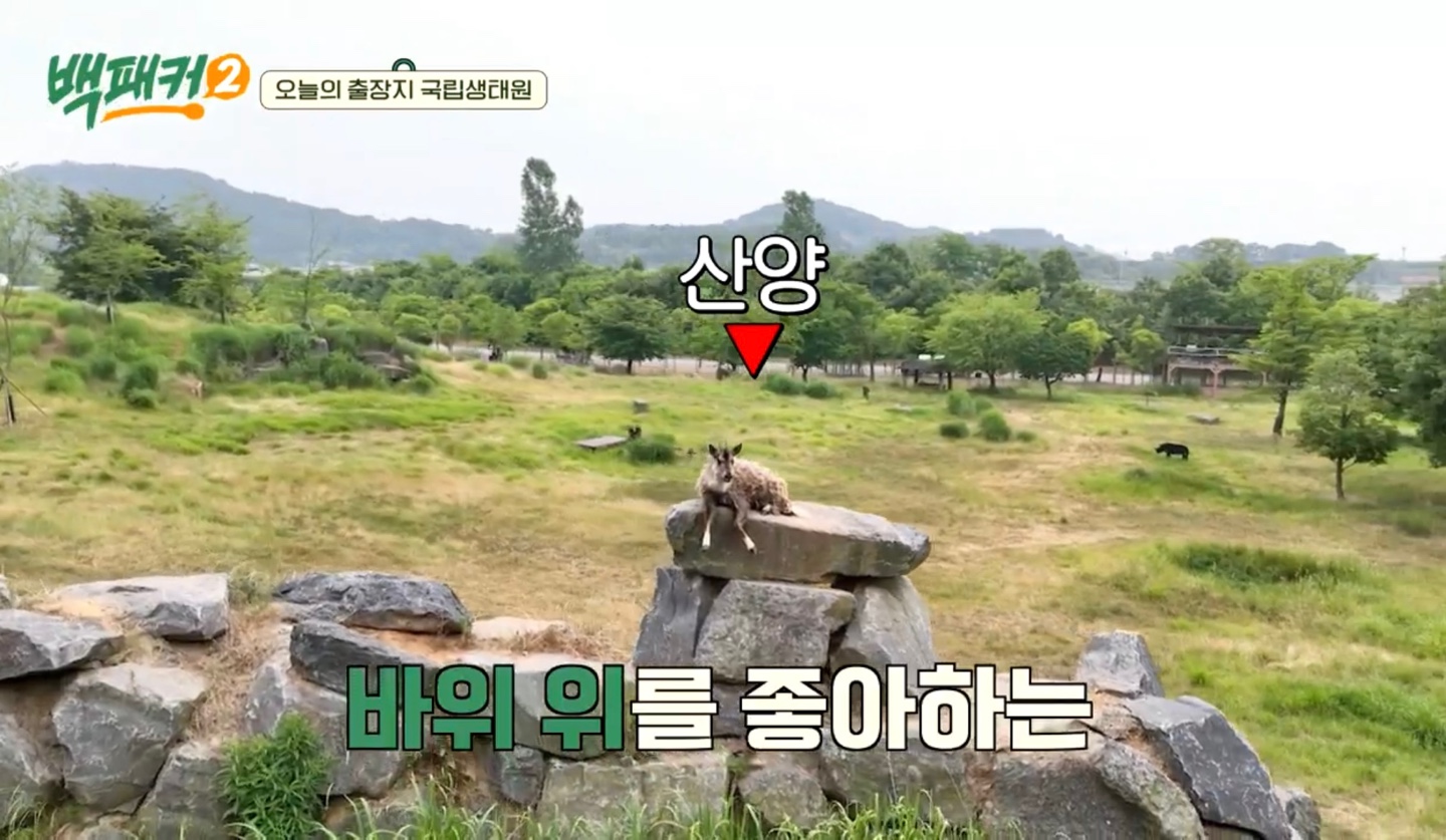 백패커2 X 국립생태원 입장료&amp;#44;시간&amp;#44;위치 정보