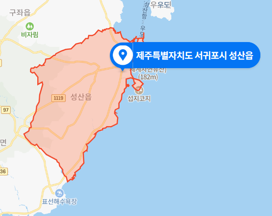  제주 서귀포시 성산읍 섭지코지 주차장 렌터카 교통사고 5세 남아 사망 (2020년 11월 7일 사건사고)