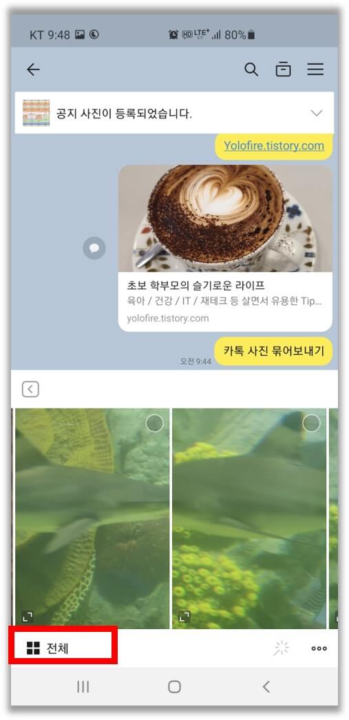 카톡-사진-전체보기