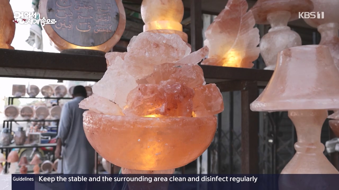 걸어서 세계속으로.E817.231112p-NEXT.mp4_20231114_213229.156.jpg