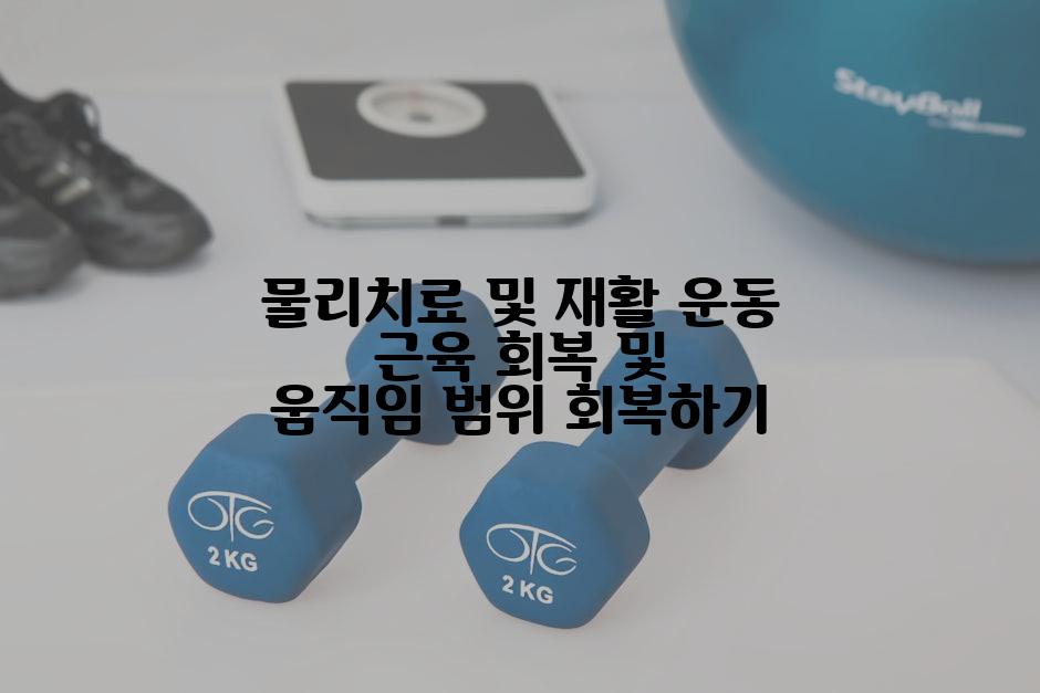 물리치료 및 재활 운동 근육 회복 및 움직임 범위 회복하기