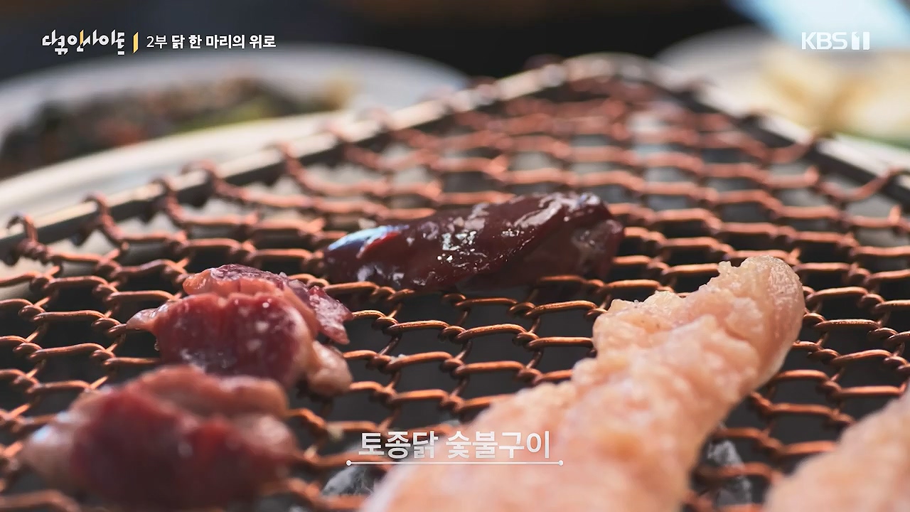 다큐 인사이트.E191.240532p-NEXT.mp4_20240601_163429.277.jpg