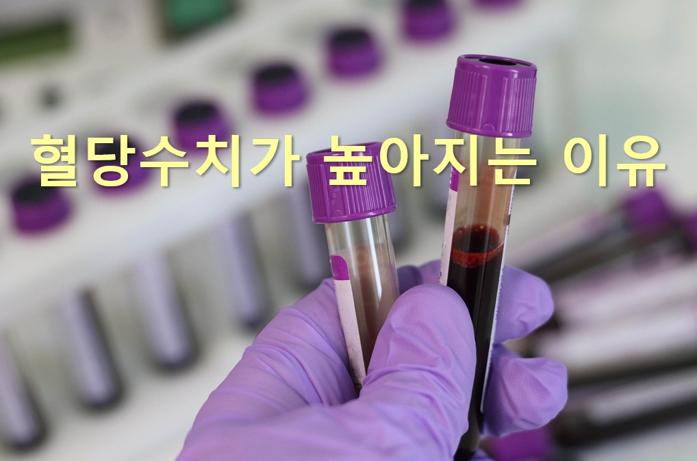  당뇨병 예방을 위한 정기적인 혈당 검사