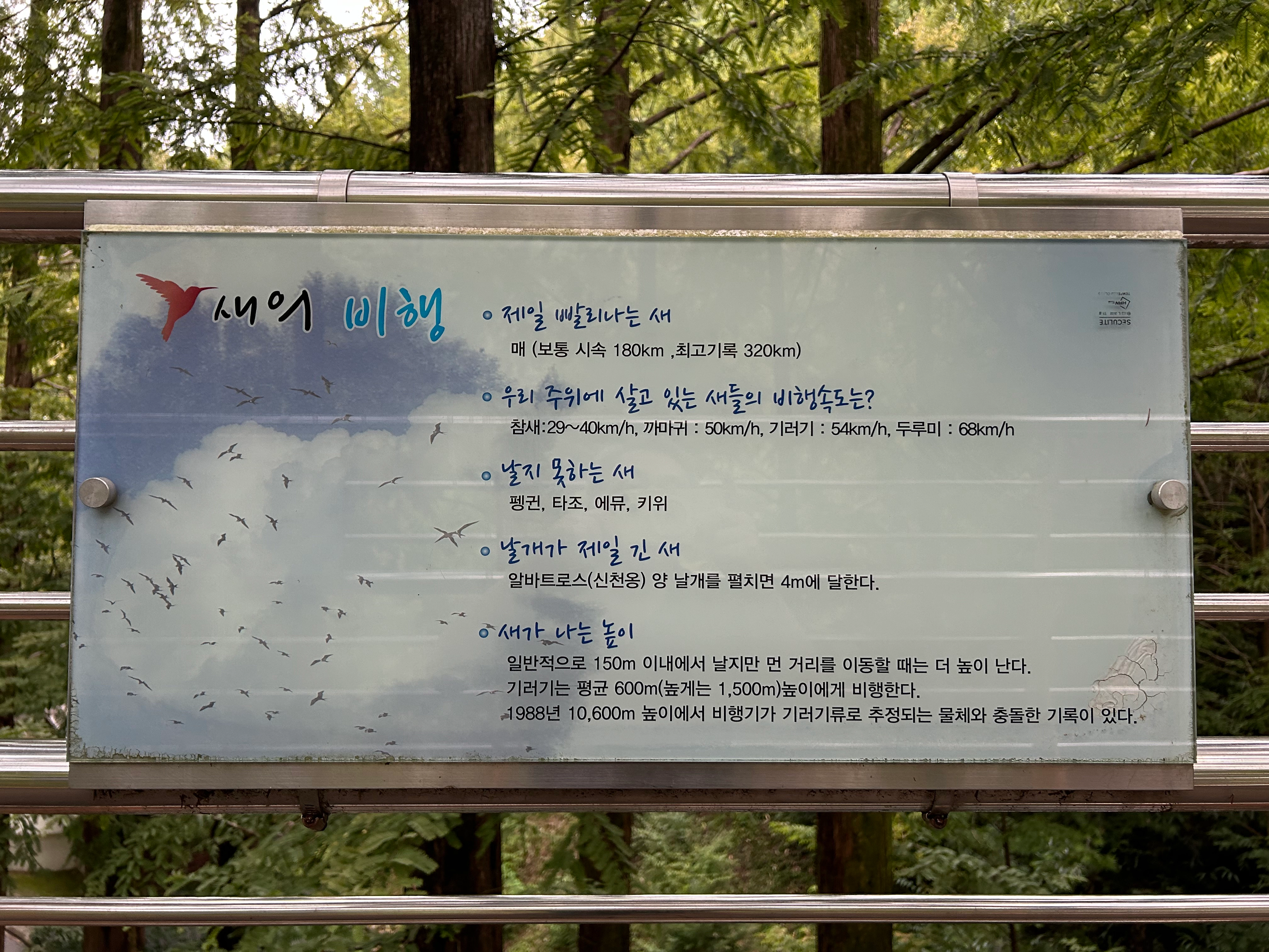 스카이웨이 도로에 새에 대한 정보를 알려주는 안내판이 보이는 이미지입니다