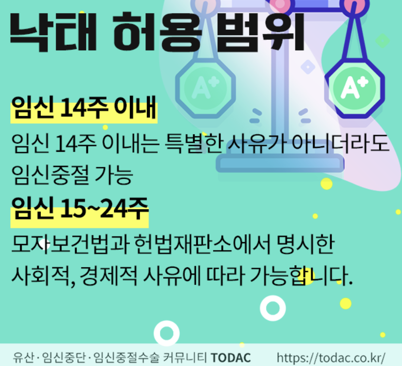  낙태의 선택권
