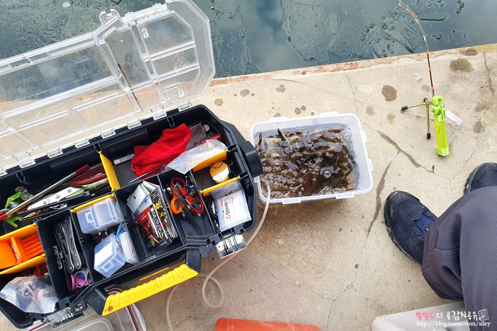 손맛느끼고 왔어요 강화도빙어축제 10