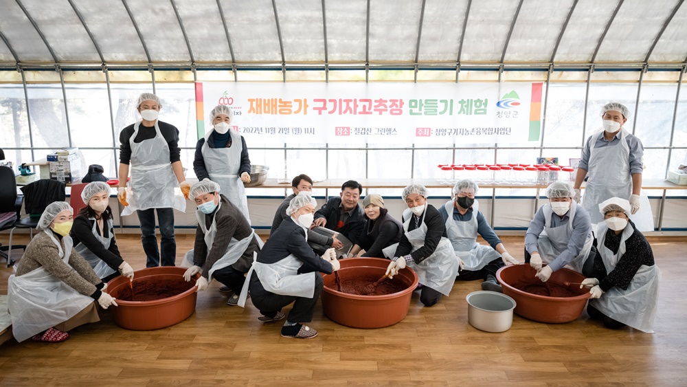청양구기자 이미지