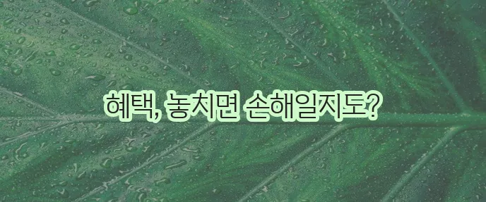 60세 이상 고령자 고용지원금 꼭 챙겨보세요
